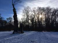 Hundeauslaufgebiet-Englischer-Garten Nord-Bild