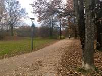 Hundeauslaufgebiet-Denninger Anger-Bild