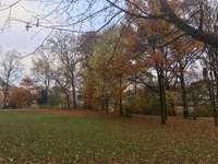 Hundeauslaufgebiet-Maximiliansanlagen Süd-Bild