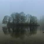 Hundeauslaufgebiet-Englischer-Garten Nord-Bild