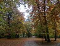 Hundeauslaufgebiet-Maximiliansanlagen Nord-Bild