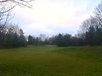 Hundeauslaufgebiet-Denninger Anger-Bild