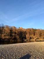 Hundeauslaufgebiet-Grünwalder Forst - Georgenstein-Bild