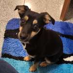 Ersteller:in Susanne Profilbild