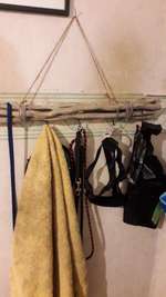 Hundegarderobe-Beitrag-Bild