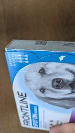 Frontline Spot on Hund L, Zeckenschutzmittel-Beitrag-Bild