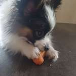 Ersteller:in stehla Profilbild