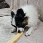 Ersteller:in stehla Profilbild