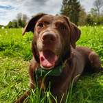 Ersteller:in Alex Profilbild