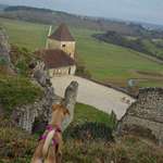 Hundeauslaufgebiet-Lonetal-Bild