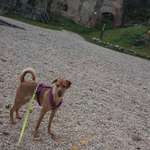 Hundeauslaufgebiet-Lonetal-Bild