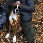 Ersteller:in Lennart Profilbild