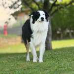 Ersteller:in Fabian Profilbild