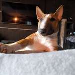 Ersteller:in Sylke Profilbild