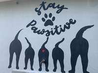 Hundeauslaufgebiet-Allmend Brunau-Bild