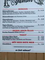 Hundeauslaufgebiet-Allmend Brunau-Bild