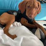 Ersteller:in Nina Profilbild