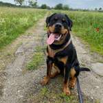 Ersteller:in Ahu & Emre Profilbild