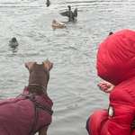 Ersteller:in Lena Profilbild