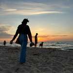 Ersteller:in Vanessa Profilbild