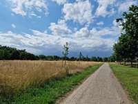 Hundeauslaufgebiet-Am Stadtpark-Bild