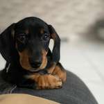 Ersteller:in Dana Profilbild