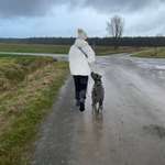 Ersteller:in Nina Profilbild