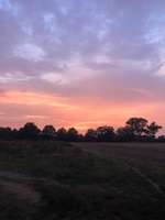 Hundeauslaufgebiet-Isernhagen-Bild