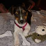 Ersteller:in Janette Profilbild