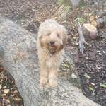 Ersteller:in Alexandra Profilbild