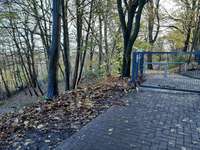 Hundeauslaufgebiet-Freilaufzone Paschupark-Bild