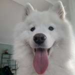 Ersteller:in Gitti Profilbild