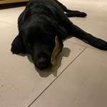 Ersteller:in Martina Profilbild