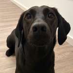 Ersteller:in Merle Profilbild