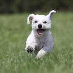 Ersteller:in Corin Profilbild