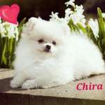 Ersteller:in Claudia Profilbild