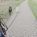 Playdate - Wer war der erste Freund oder beste Freund eures Hundes?-Beitrag-Bild