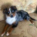 Ersteller:in Moana Profilbild