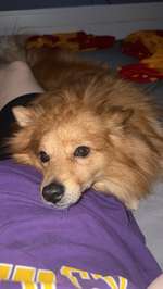 Bezugsperson für 3 Monate weg-Beitrag-Bild