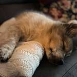 Ersteller:in Melissa Profilbild