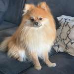 Ersteller:in Nike Profilbild