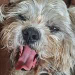 Ersteller:in Ingrid Profilbild