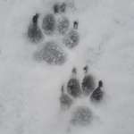 Ersteller:in Ingrid Profilbild