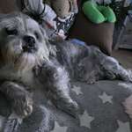 Ersteller:in Ingrid Profilbild