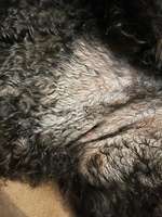 Pickel und offene Stellen.-Beitrag-Bild