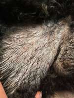 Pickel und offene Stellen.-Beitrag-Bild