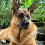 Ersteller:in Karen Profilbild