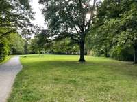 Hundeauslaufgebiet-Osterfelddamm Ecke Finkenhof-Bild