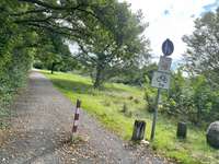 Hundeauslaufgebiet-Osterfelddamm und Milanstraße-Bild