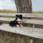 Ersteller:in Katharina Profilbild